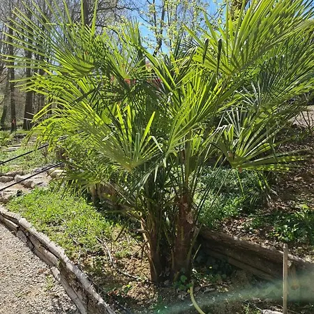 Country house Pause Nature Maison Cosmos Avec Parking Gratuit Lapeyrouse-Fossat